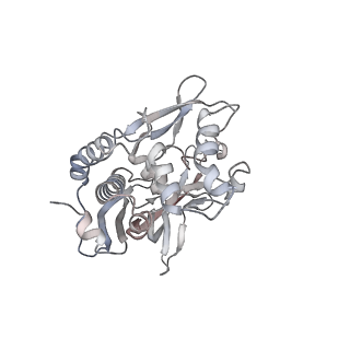 15540_8ane_B_v1-1
Structure of the type I-G CRISPR effector
