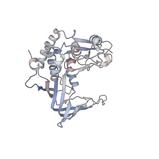 15540_8ane_C_v1-1
Structure of the type I-G CRISPR effector