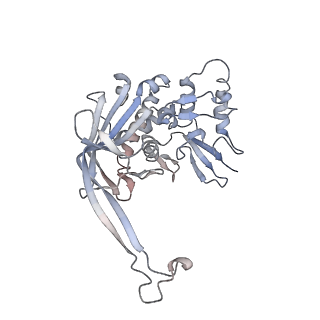 15540_8ane_E_v1-1
Structure of the type I-G CRISPR effector