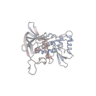 15540_8ane_F_v1-1
Structure of the type I-G CRISPR effector
