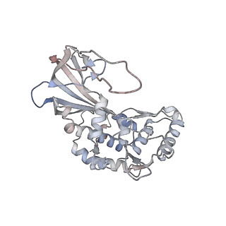 15540_8ane_G_v1-1
Structure of the type I-G CRISPR effector