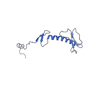 15544_8any_0_v1-0
Human mitochondrial ribosome in complex with LRPPRC, SLIRP, A-site, P-site, E-site tRNAs and mRNA