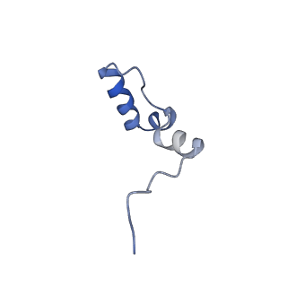 15544_8any_2_v1-0
Human mitochondrial ribosome in complex with LRPPRC, SLIRP, A-site, P-site, E-site tRNAs and mRNA