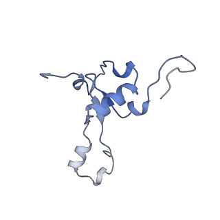 15544_8any_3_v1-0
Human mitochondrial ribosome in complex with LRPPRC, SLIRP, A-site, P-site, E-site tRNAs and mRNA