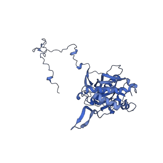 15544_8any_5_v1-0
Human mitochondrial ribosome in complex with LRPPRC, SLIRP, A-site, P-site, E-site tRNAs and mRNA