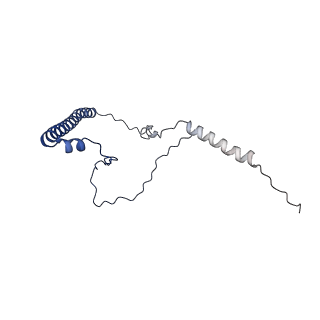 15544_8any_8_v1-0
Human mitochondrial ribosome in complex with LRPPRC, SLIRP, A-site, P-site, E-site tRNAs and mRNA