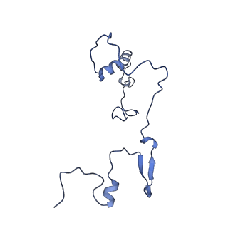 15544_8any_9_v2-1
Human mitochondrial ribosome in complex with LRPPRC, SLIRP, A-site, P-site, E-site tRNAs and mRNA