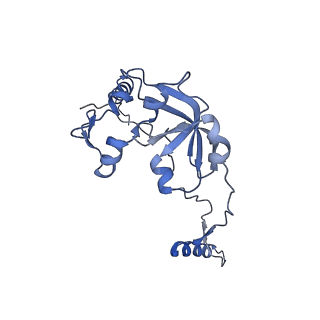 15544_8any_A0_v1-0
Human mitochondrial ribosome in complex with LRPPRC, SLIRP, A-site, P-site, E-site tRNAs and mRNA
