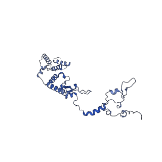 15544_8any_A1_v1-0
Human mitochondrial ribosome in complex with LRPPRC, SLIRP, A-site, P-site, E-site tRNAs and mRNA