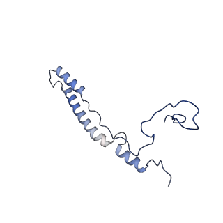 15544_8any_A2_v1-0
Human mitochondrial ribosome in complex with LRPPRC, SLIRP, A-site, P-site, E-site tRNAs and mRNA