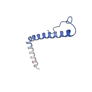 15544_8any_A3_v1-0
Human mitochondrial ribosome in complex with LRPPRC, SLIRP, A-site, P-site, E-site tRNAs and mRNA