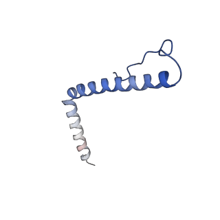 15544_8any_A3_v2-1
Human mitochondrial ribosome in complex with LRPPRC, SLIRP, A-site, P-site, E-site tRNAs and mRNA