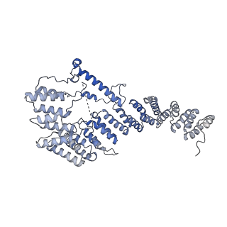 15544_8any_A4_v1-0
Human mitochondrial ribosome in complex with LRPPRC, SLIRP, A-site, P-site, E-site tRNAs and mRNA