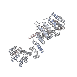 15544_8any_A5_v1-0
Human mitochondrial ribosome in complex with LRPPRC, SLIRP, A-site, P-site, E-site tRNAs and mRNA