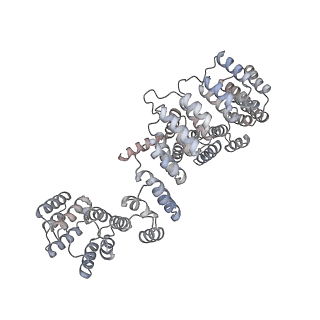 15544_8any_A5_v2-1
Human mitochondrial ribosome in complex with LRPPRC, SLIRP, A-site, P-site, E-site tRNAs and mRNA
