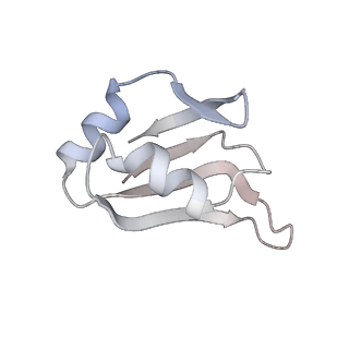 15544_8any_A6_v2-1
Human mitochondrial ribosome in complex with LRPPRC, SLIRP, A-site, P-site, E-site tRNAs and mRNA