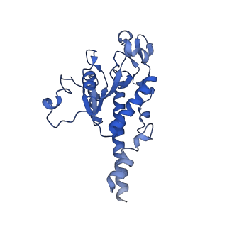 15544_8any_AB_v2-1
Human mitochondrial ribosome in complex with LRPPRC, SLIRP, A-site, P-site, E-site tRNAs and mRNA
