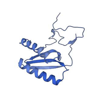 15544_8any_AC_v1-0
Human mitochondrial ribosome in complex with LRPPRC, SLIRP, A-site, P-site, E-site tRNAs and mRNA