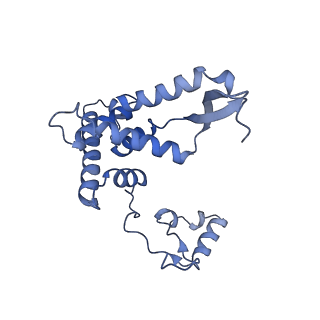 15544_8any_AF_v1-0
Human mitochondrial ribosome in complex with LRPPRC, SLIRP, A-site, P-site, E-site tRNAs and mRNA