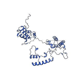 15544_8any_AG_v1-0
Human mitochondrial ribosome in complex with LRPPRC, SLIRP, A-site, P-site, E-site tRNAs and mRNA
