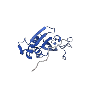 15544_8any_AI_v1-0
Human mitochondrial ribosome in complex with LRPPRC, SLIRP, A-site, P-site, E-site tRNAs and mRNA