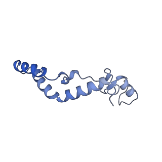 15544_8any_AK_v1-0
Human mitochondrial ribosome in complex with LRPPRC, SLIRP, A-site, P-site, E-site tRNAs and mRNA
