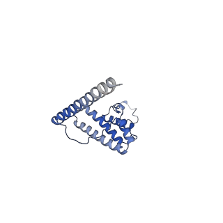 15544_8any_AL_v1-0
Human mitochondrial ribosome in complex with LRPPRC, SLIRP, A-site, P-site, E-site tRNAs and mRNA