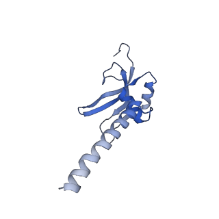 15544_8any_AM_v1-0
Human mitochondrial ribosome in complex with LRPPRC, SLIRP, A-site, P-site, E-site tRNAs and mRNA