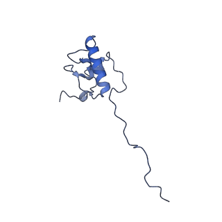15544_8any_AP_v1-0
Human mitochondrial ribosome in complex with LRPPRC, SLIRP, A-site, P-site, E-site tRNAs and mRNA
