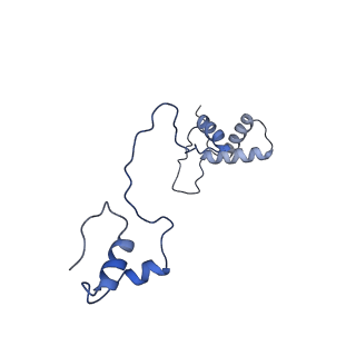 15544_8any_AS_v1-0
Human mitochondrial ribosome in complex with LRPPRC, SLIRP, A-site, P-site, E-site tRNAs and mRNA