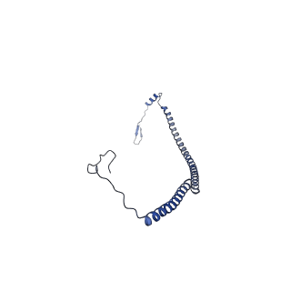 15544_8any_AU_v1-0
Human mitochondrial ribosome in complex with LRPPRC, SLIRP, A-site, P-site, E-site tRNAs and mRNA