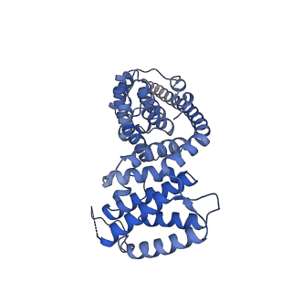 15544_8any_AV_v1-0
Human mitochondrial ribosome in complex with LRPPRC, SLIRP, A-site, P-site, E-site tRNAs and mRNA