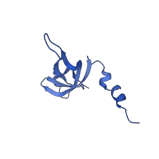 15544_8any_AW_v1-0
Human mitochondrial ribosome in complex with LRPPRC, SLIRP, A-site, P-site, E-site tRNAs and mRNA