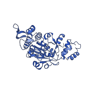 15544_8any_AX_v1-0
Human mitochondrial ribosome in complex with LRPPRC, SLIRP, A-site, P-site, E-site tRNAs and mRNA