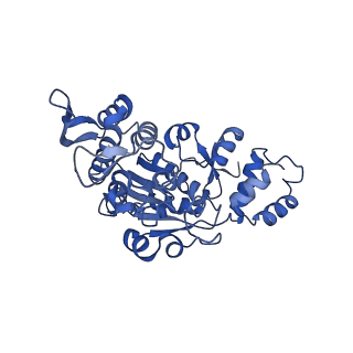 15544_8any_AX_v2-1
Human mitochondrial ribosome in complex with LRPPRC, SLIRP, A-site, P-site, E-site tRNAs and mRNA