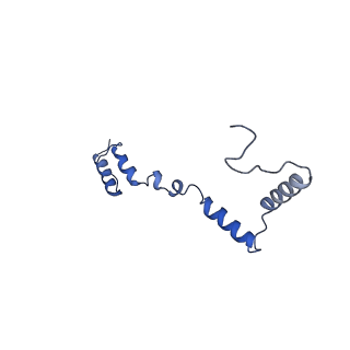 15544_8any_AZ_v1-0
Human mitochondrial ribosome in complex with LRPPRC, SLIRP, A-site, P-site, E-site tRNAs and mRNA