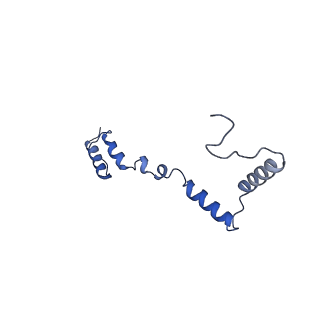 15544_8any_AZ_v2-1
Human mitochondrial ribosome in complex with LRPPRC, SLIRP, A-site, P-site, E-site tRNAs and mRNA