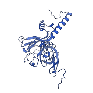15544_8any_E_v1-0
Human mitochondrial ribosome in complex with LRPPRC, SLIRP, A-site, P-site, E-site tRNAs and mRNA