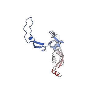 15544_8any_H_v1-0
Human mitochondrial ribosome in complex with LRPPRC, SLIRP, A-site, P-site, E-site tRNAs and mRNA