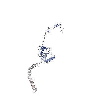 15544_8any_I_v1-0
Human mitochondrial ribosome in complex with LRPPRC, SLIRP, A-site, P-site, E-site tRNAs and mRNA
