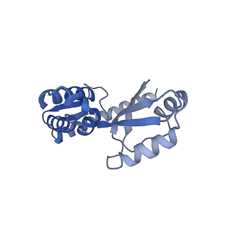 15544_8any_J_v1-0
Human mitochondrial ribosome in complex with LRPPRC, SLIRP, A-site, P-site, E-site tRNAs and mRNA
