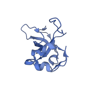 15544_8any_L_v1-0
Human mitochondrial ribosome in complex with LRPPRC, SLIRP, A-site, P-site, E-site tRNAs and mRNA