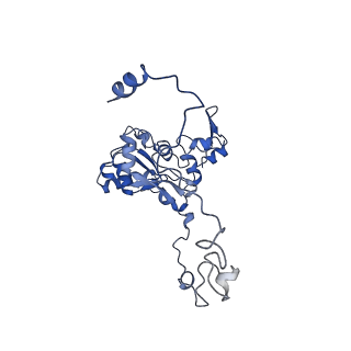 15544_8any_M_v1-0
Human mitochondrial ribosome in complex with LRPPRC, SLIRP, A-site, P-site, E-site tRNAs and mRNA