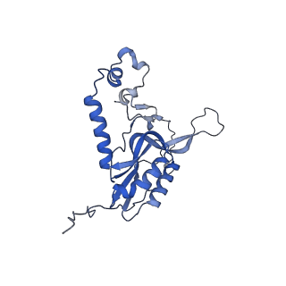 15544_8any_N_v2-1
Human mitochondrial ribosome in complex with LRPPRC, SLIRP, A-site, P-site, E-site tRNAs and mRNA