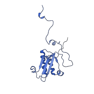15544_8any_P_v1-0
Human mitochondrial ribosome in complex with LRPPRC, SLIRP, A-site, P-site, E-site tRNAs and mRNA