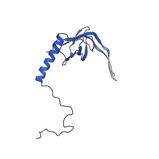 15544_8any_S_v2-1
Human mitochondrial ribosome in complex with LRPPRC, SLIRP, A-site, P-site, E-site tRNAs and mRNA