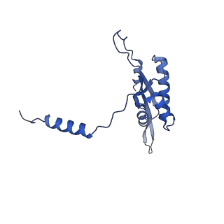 15544_8any_T_v1-0
Human mitochondrial ribosome in complex with LRPPRC, SLIRP, A-site, P-site, E-site tRNAs and mRNA