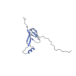 15544_8any_W_v1-0
Human mitochondrial ribosome in complex with LRPPRC, SLIRP, A-site, P-site, E-site tRNAs and mRNA