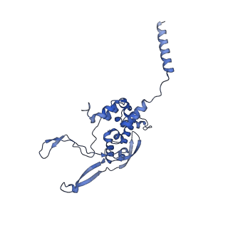 15544_8any_X_v1-0
Human mitochondrial ribosome in complex with LRPPRC, SLIRP, A-site, P-site, E-site tRNAs and mRNA