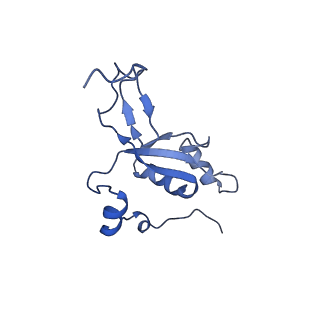 15544_8any_Z_v1-0
Human mitochondrial ribosome in complex with LRPPRC, SLIRP, A-site, P-site, E-site tRNAs and mRNA